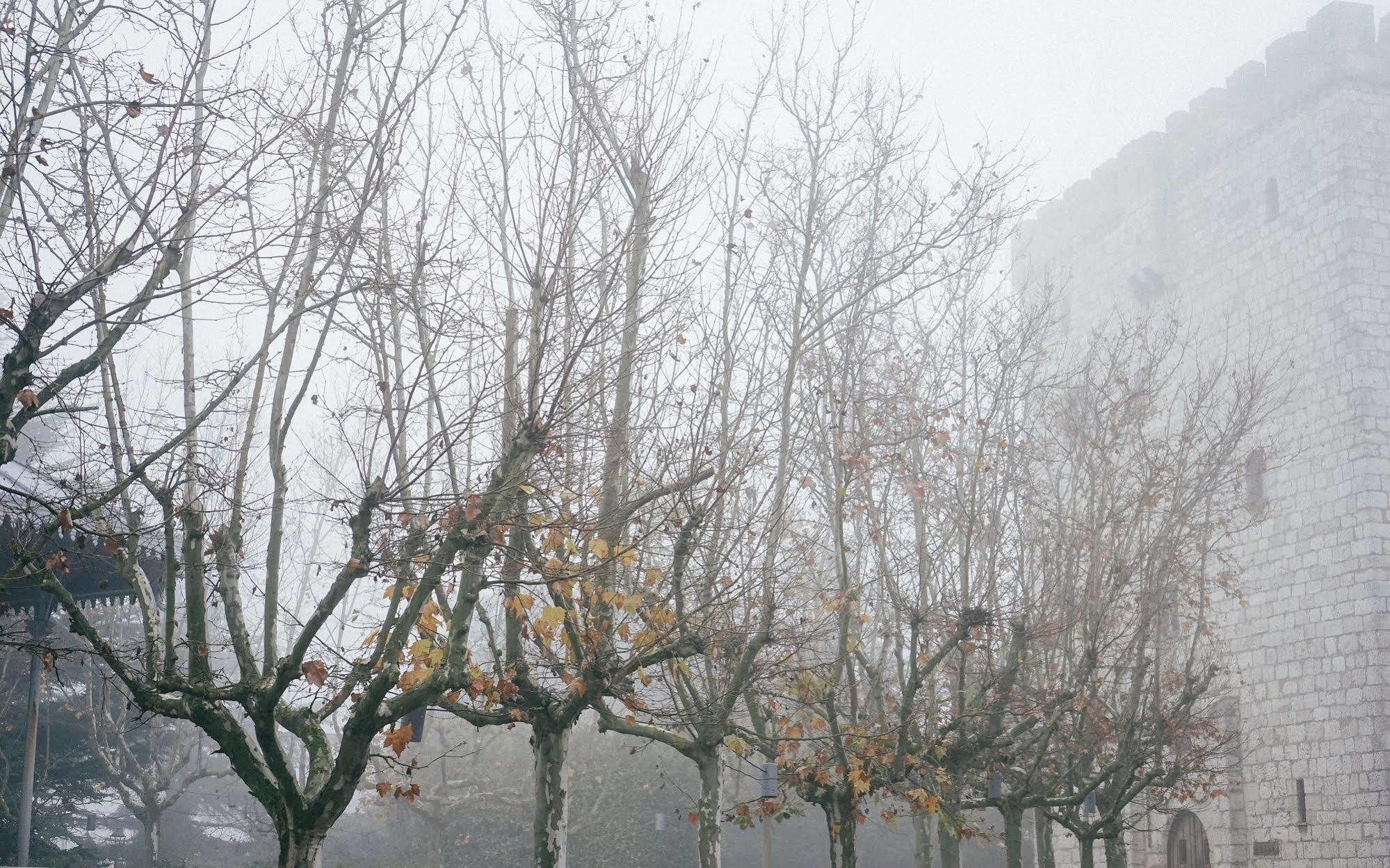 Landa Ξενοδοχείο Burgo Εξωτερικό φωτογραφία Trees in winter